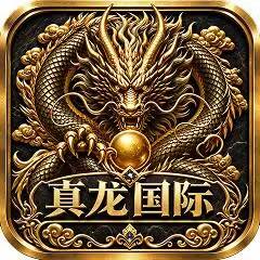 真龙国际